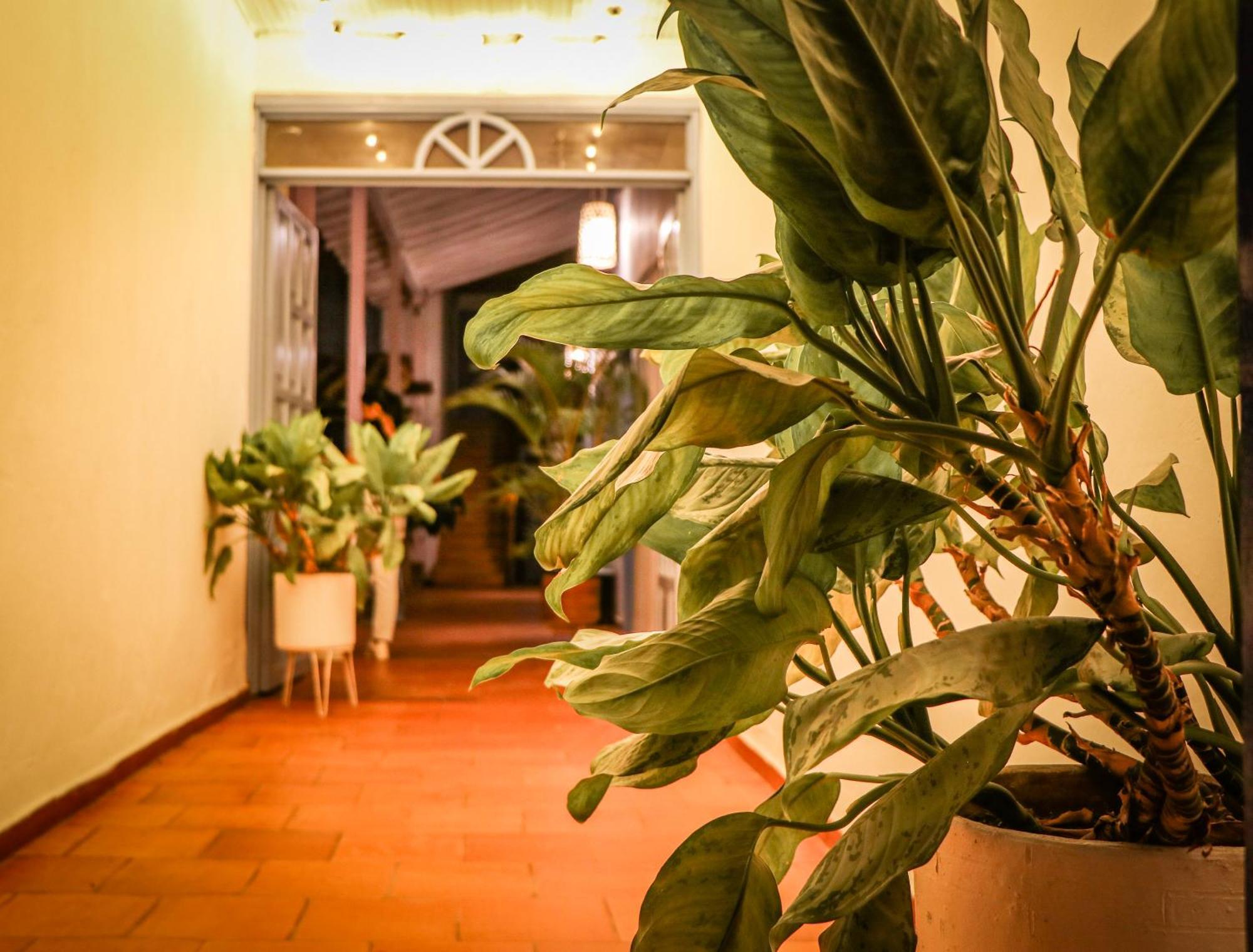 Aura Hotel Parque Barichara By Infinity 외부 사진